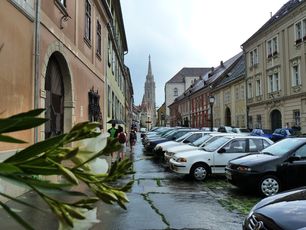 Street in Buda